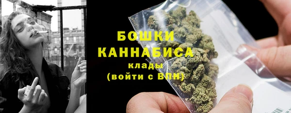 бошки Краснослободск