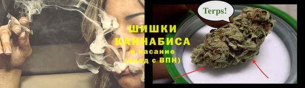 бошки Краснослободск