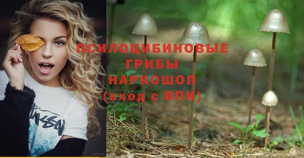 ALPHA-PVP Куйбышев