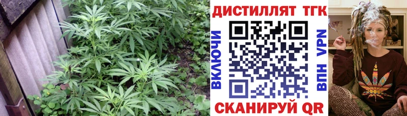 ТГК вейп  Курчатов 