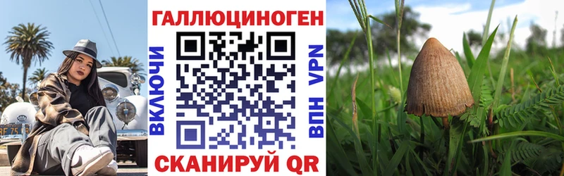 Галлюциногенные грибы Psilocybe  Курчатов 